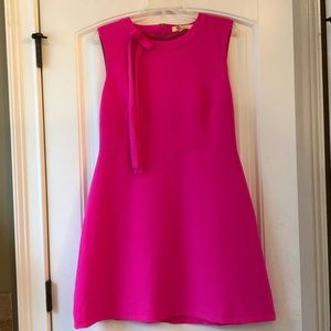 Bright Pink Aryeh Dress